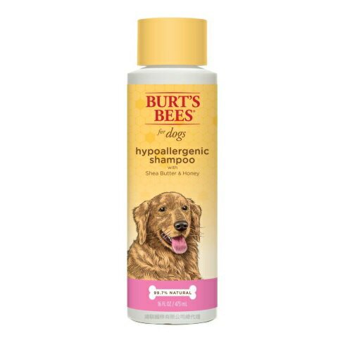【Burt's Bees 小蜜蜂爺爺 】乳油木果蜂蜜沐浴露 473ml | 寵物沐浴露
