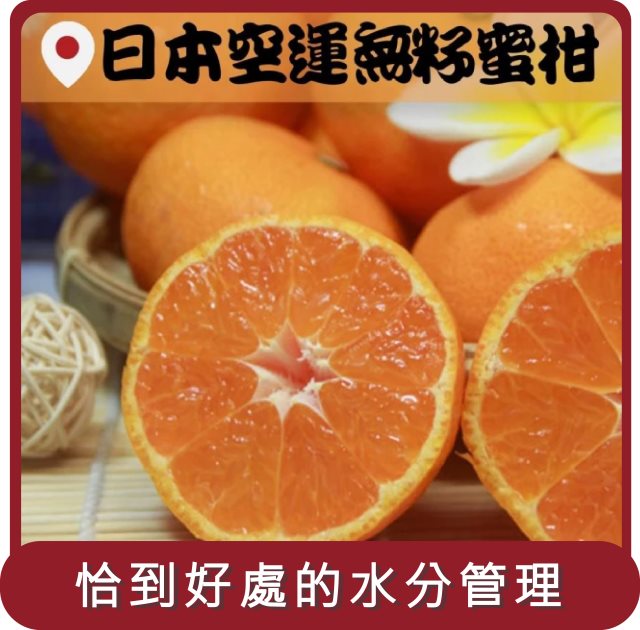【阿成水果】桃苗選品—日本空運無籽蜜柑(12~15粒/1.2kg/盒)