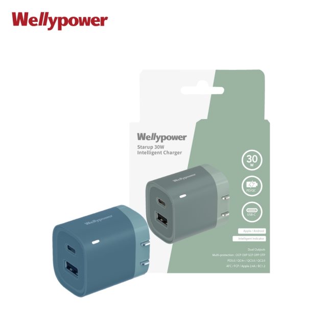【Wellypower】GaN氮化鎵30W雙孔快速充電器-限定色(Type C/USB-A、PD+QC3.0)