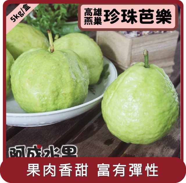 【阿成水果】桃苗選品—高雄燕巢珍珠芭樂(12~15粒/5kg/盒)
