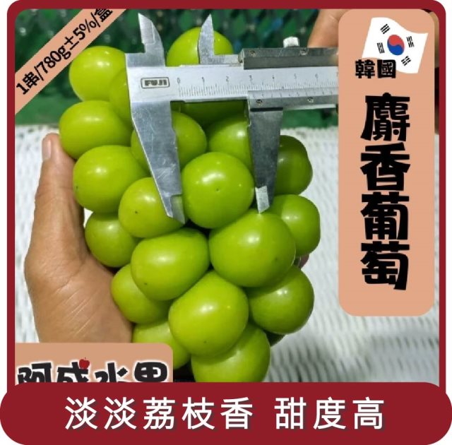 【阿成水果】桃苗選品—韓國麝香葡萄 (1串/780g/盒)