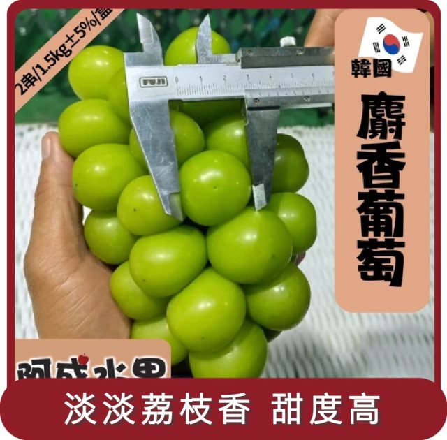【阿成水果】桃苗選品—韓國麝香葡萄 (2串/1.5kg/盒)