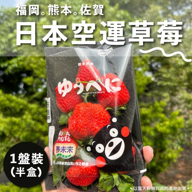 【水果狼】日本熊本/福岡/佐賀草莓1盤 (半盒/5-9顆/300g)