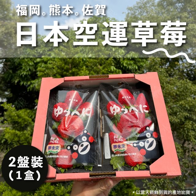 【水果狼】日本熊本/福岡/佐賀草莓1盒 (每盒2盤/10-18顆/600g)