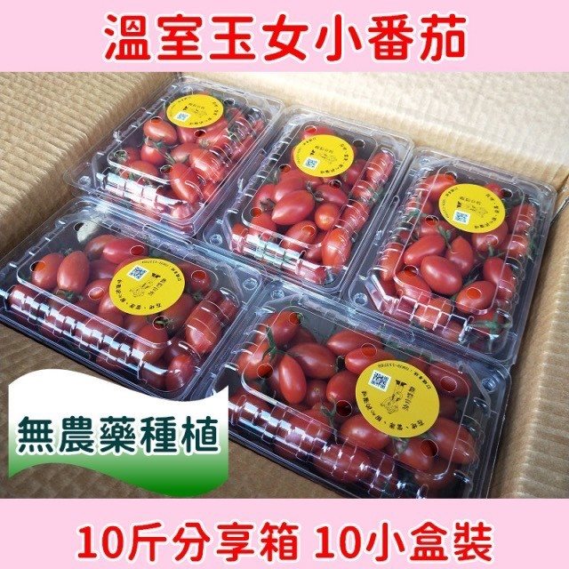 【不二果匠】單箱裝｜溫室玉女番茄10台斤(10小盒組)