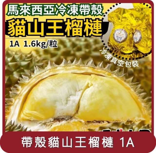 【阿成水果】桃苗選品—馬來西亞冷凍帶殼貓山王榴槤 1A(1.6kg/粒)