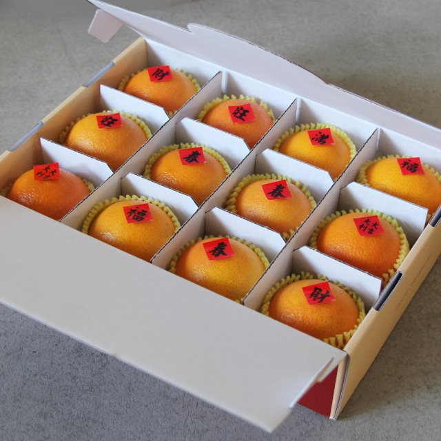 【游游農產】紅香橙12入手提禮盒
