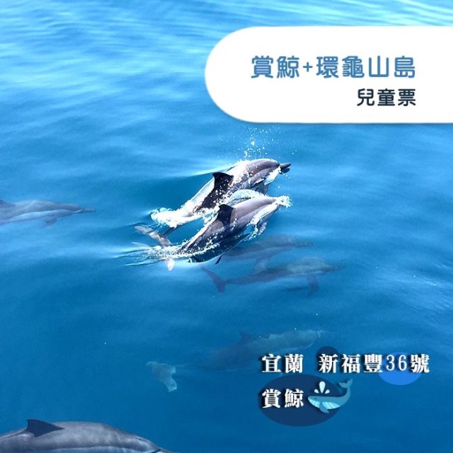 宜蘭新福豐36號賞鯨環龜山島-兒童票(2張組)