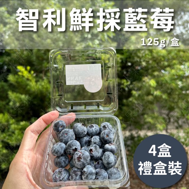 【水果狼】嚴選智利鮮採藍莓 4盒/500g 禮盒裝