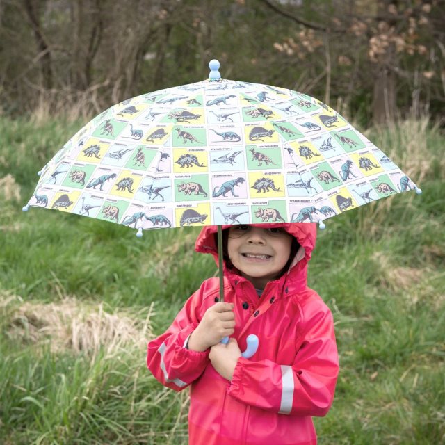 【Rex LONDON】兒童雨傘(恐龍)  |  遮陽傘 晴雨傘 直傘