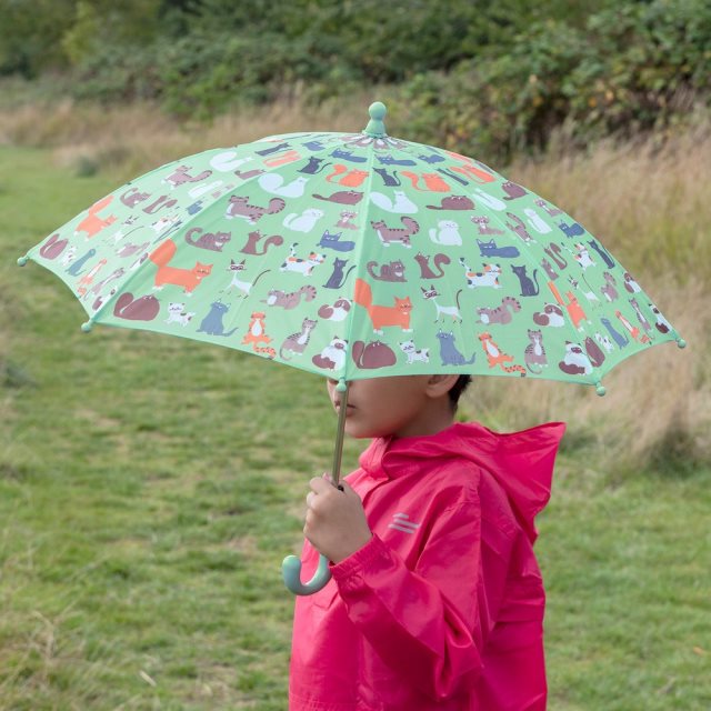 【Rex LONDON】兒童雨傘(貓派對)  |  遮陽傘 晴雨傘 直傘