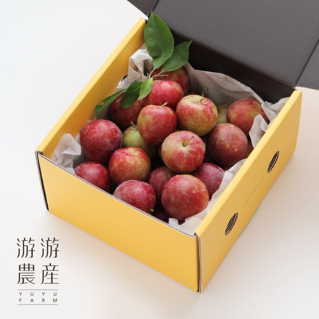 【游游農產】梨山西瓜李簡約禮盒(5台斤)